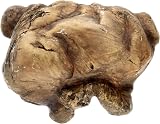 Exo Terra Reptile Cave Large Brown view 3