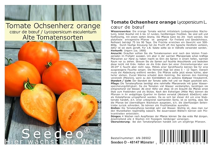 Seedeo® Tomate Ochsenherz orange (Lycopersicum L.) 20 Samen BIO