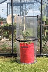 Tierra Garden Haxnicks Pop-Up Tomato Cloche 50 x 50 x 110 cm Transparent view 4