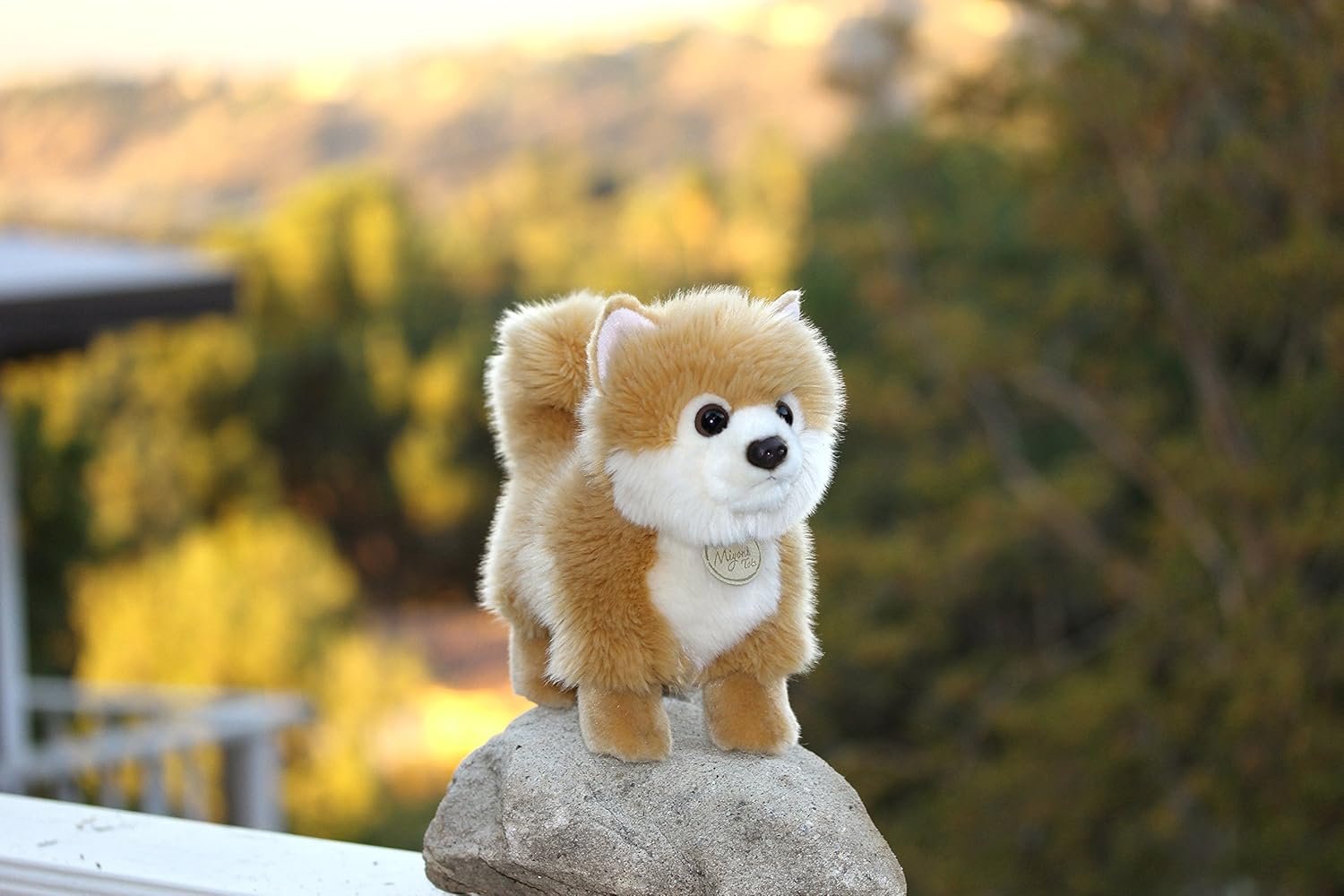 webkinz pomeranian