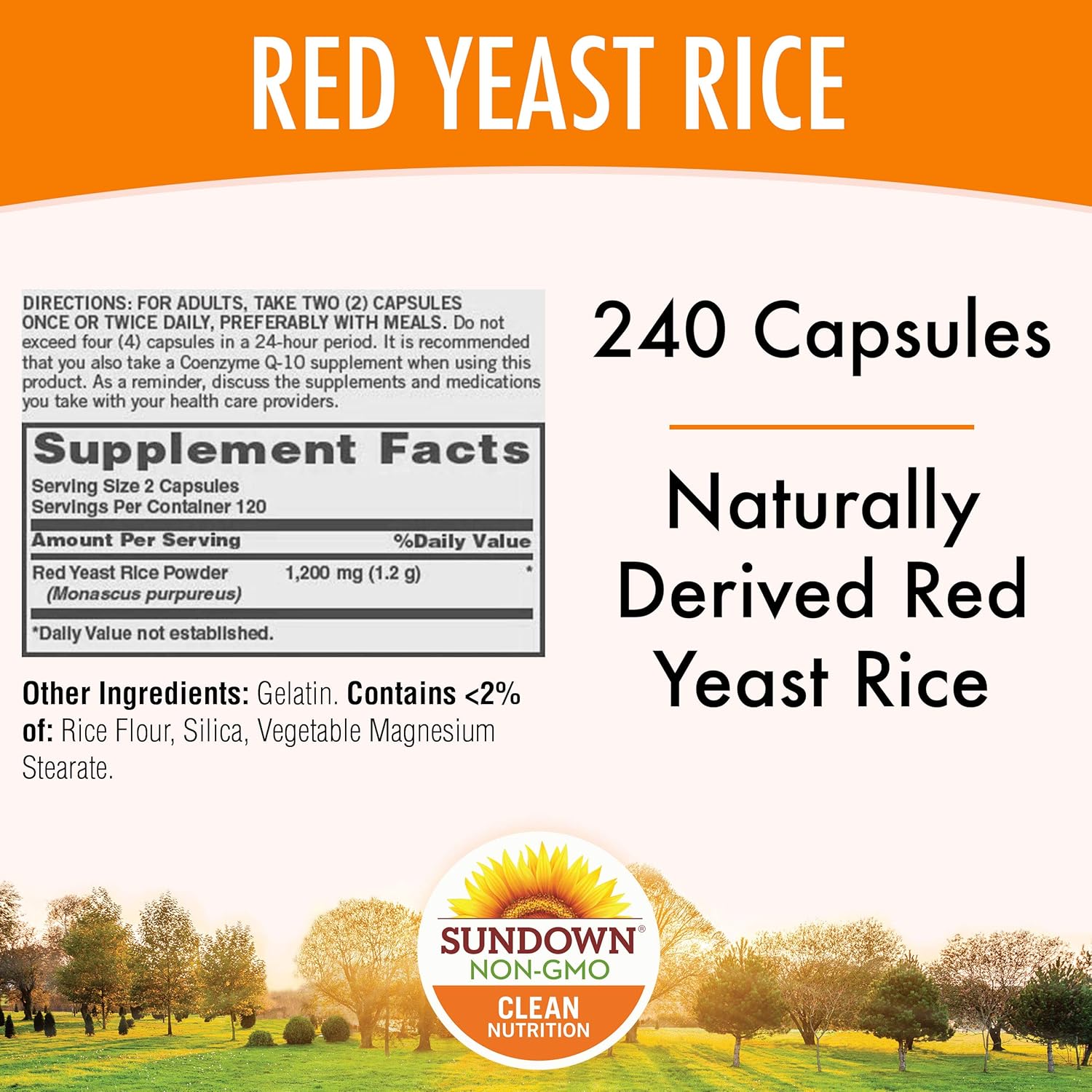 Sundown Red Yeast Rice 1200 mg Capsules (240 Count), Naturally Derived, Gluten Free, Dairy Free, Non-GMOˆ, Free of Gluten, Dairy, Artificial Flavors (Packaging May Vary): Health & Personal Care