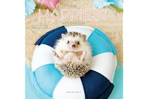 Graphique 2026 Happiest Hedgehogs Mini Wall Calendar | 7” x 7” | Thick Paper | Home & Office Organizer | Large Monthly Grid |