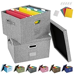 JSungo 2 Pack File Box with 10 Hanging Filing