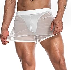 FIROTTII Mens Mesh Shorts Sexy Boxers See Through