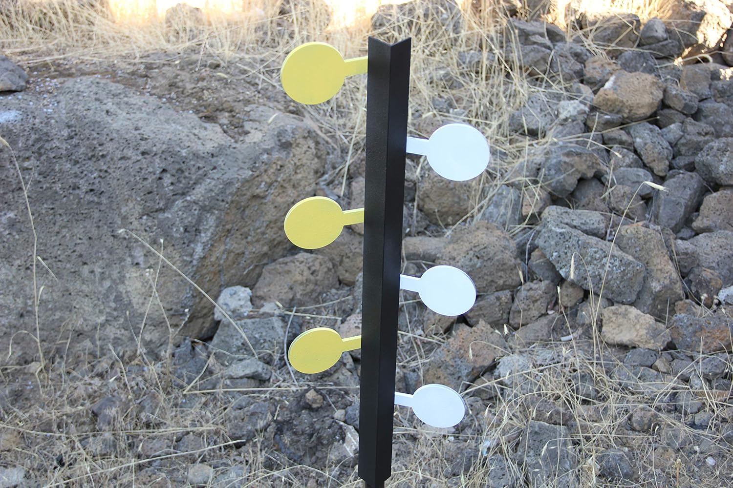 Amazon.com: Deschutes Metal Works Rimfire Dueling Tree ...