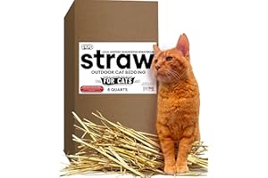 FIEND Wheat Straw for Cat Shelter Bedding – 8 Quarts (1.5 lbs) Fresh Raw USA Wheatstraw from Local Washington State Farm Plus Catnip with Silvervine – Box Stuffed for Outdoor Feral or Indoor Pet Hay