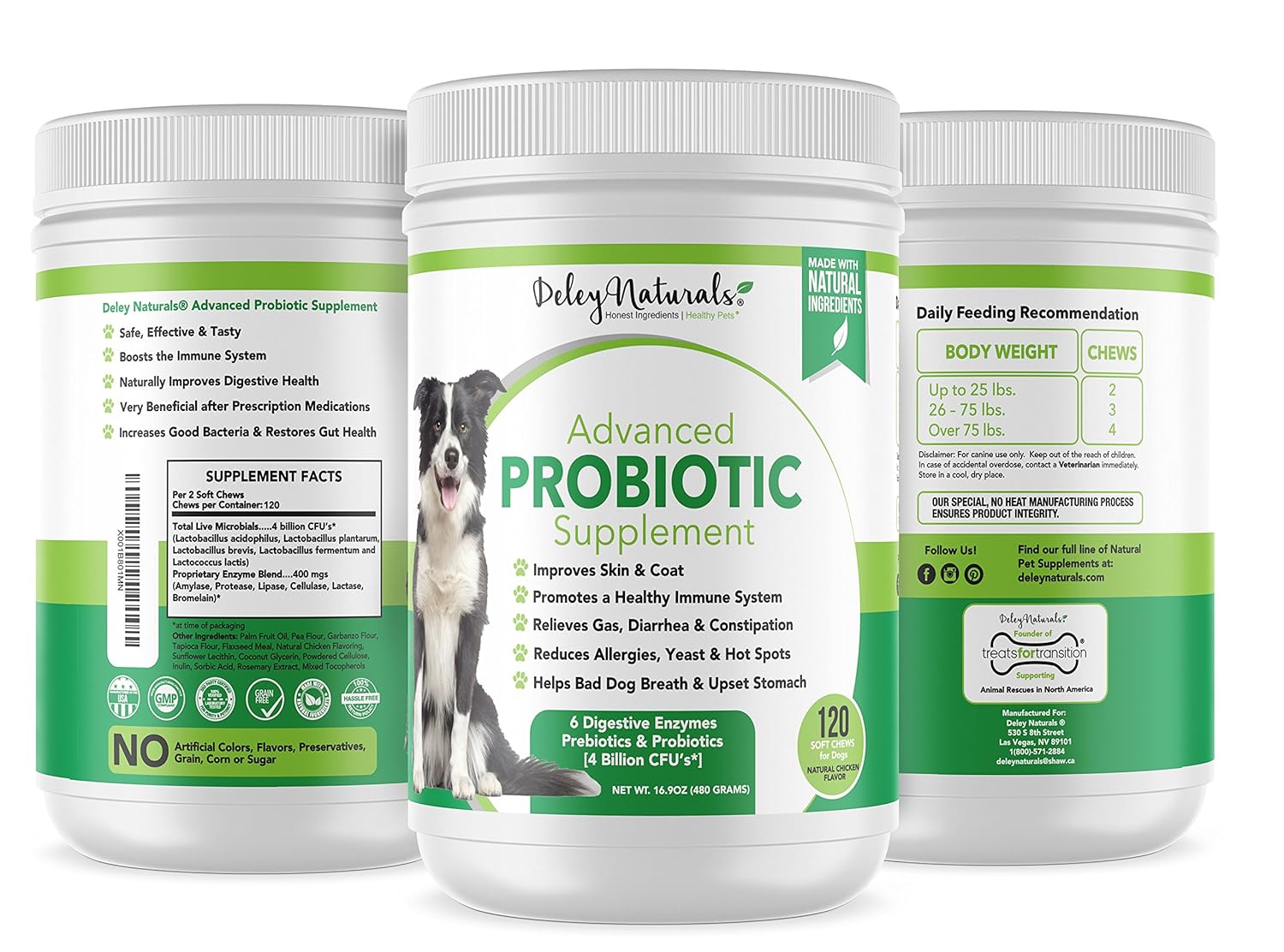 Probiotics for Dogs - 4 Billion CFU's, Digestive Enzymes ...