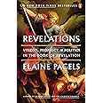 Revelations: Visions, Prophecy, and Politics in the Book of Revelation
