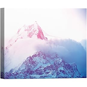 SIGNWIN Canvas Wall Art Pink and Violet Snow...
