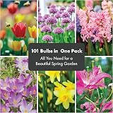 GreenBrokers Butterfly & Bee Collection Bulbs 100 Pack Spring Flowers view 7