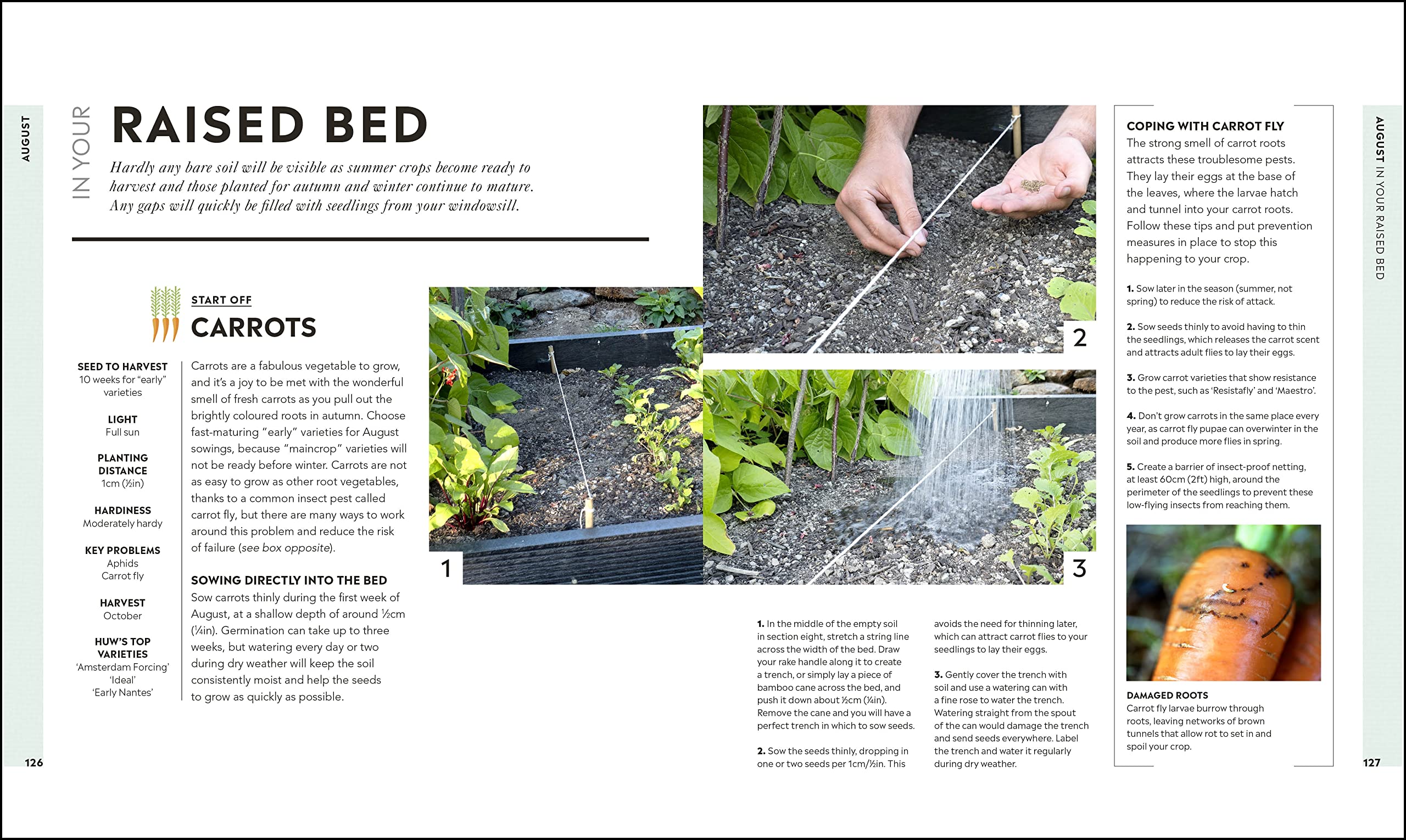 Veg in One Bed: How to Grow an Abundance of Food in One Raised Bed, Month by Month Veg in One Bed: How to Grow an Abundance of Food in One Raised Bed, Month by Month Hardcover Kindle