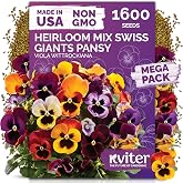 1,600 Swiss Giants Pansy Heirloom Flower Seeds, Viola Wittrockiana | Mixed Colors, Viola Blooms, Perennial Flower Seeds for Planting Outside Gardenx, Containers, Heirloom Seed Packets