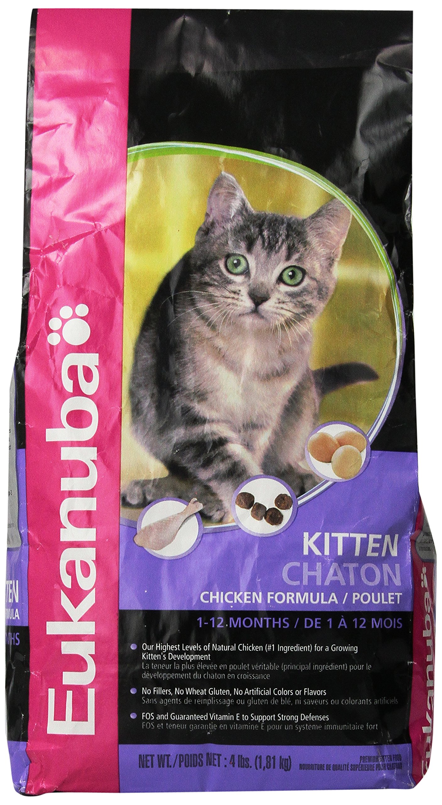 eukanuba dry cat food
