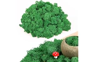 Yastouay 3.5 OZ Preserved Moss for Potted Plants, Green Fake Moss Decor for Crafts, Artificial Reindeer Crafts Moss for Flowerbeds, DIY Crafts, Wedding Christmas Party, Forest Moss for Hamsters