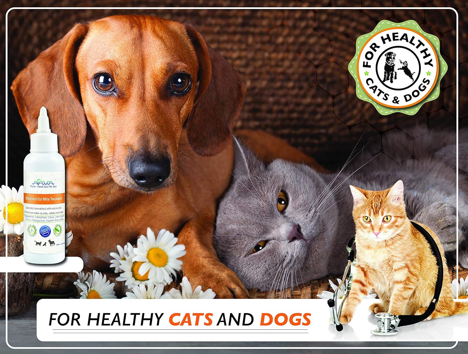 Arava Natural Ear Mite Treatment - for Dogs & Cats - Pet Ear Mites Infection Cleaner - Treat Inaccessible Areas & Prevent Infections - Healthy Safe Formula with Botanical Extracts & Dead Sea Minerals  : Pet Supplies