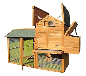 Pets Imperial Large Kingsbourne Chicken Coop Suitable For Up To 5 Birds Depending On Size D