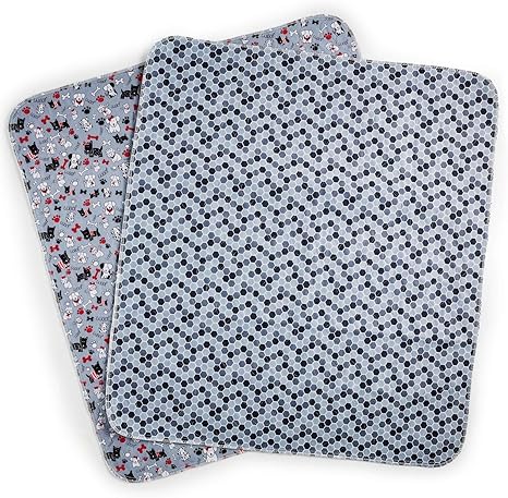 how to potty train multiple older dogs