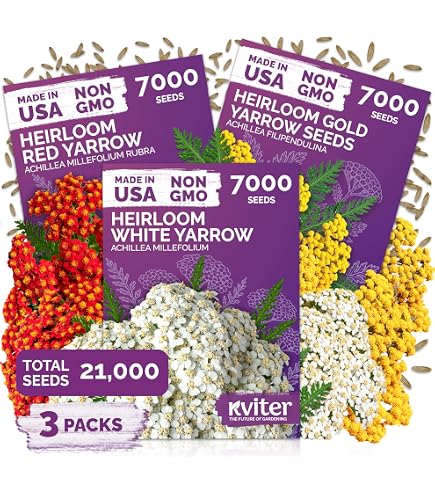 400 Semillas De Milenrama Achillea Millefolium, Planta Perenne Rara Y Decorativa, Fácil De Cultivar, Ideal Para Jardineros Principiantes Y Expertos, Perfecta Para Bordes Y Entradas