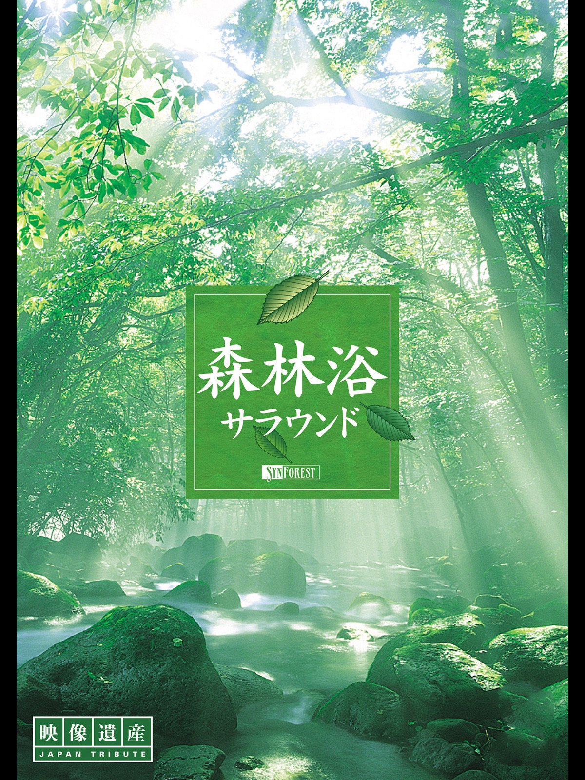 Amazon Co Jp 森林浴サラウンドを観る Prime Video