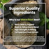 VitaBright Black Maca Root Capsules Yellow 11,000mg 180 Count UK Made view 5