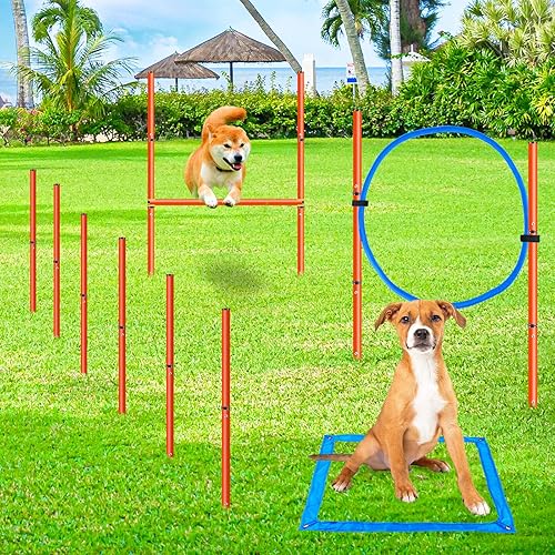 Dog Agility Starter Kit XiaZ Dog Agility Equipments, Obstacle