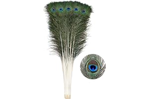 Ballinger 30pcs Natural Peacock Feathers Long Pole Bulk 32-35 inch for DIY Craft, Wedding Holiday Decorationn and Floral Arrangement