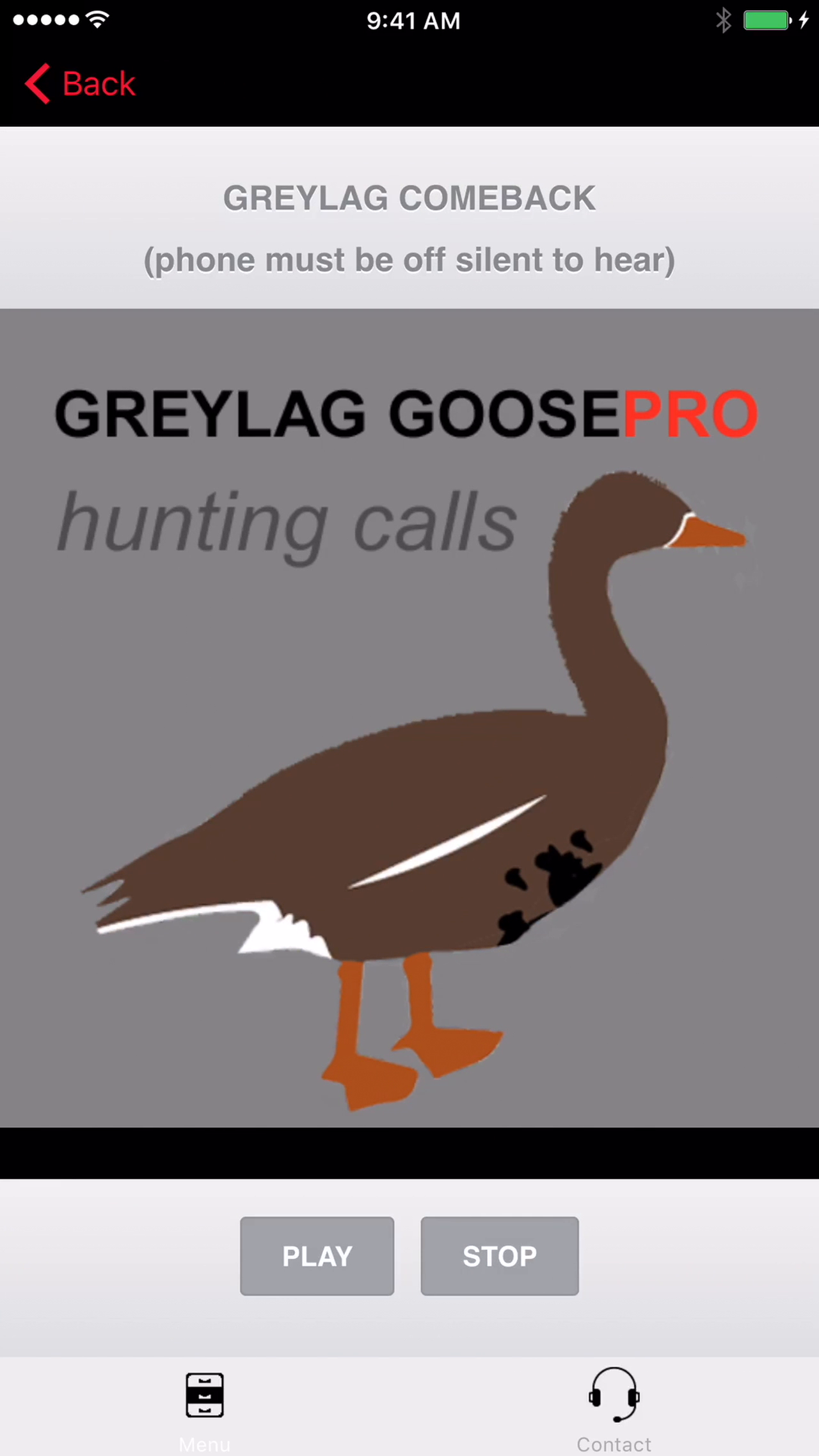 REAL Greylag Goose Hunting Calls Greylag Goose CALLS & Greylag Goose Sounds! BLUETOOTH