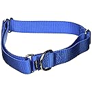 PetSafe Martingale Collar, 3/4" Medium
