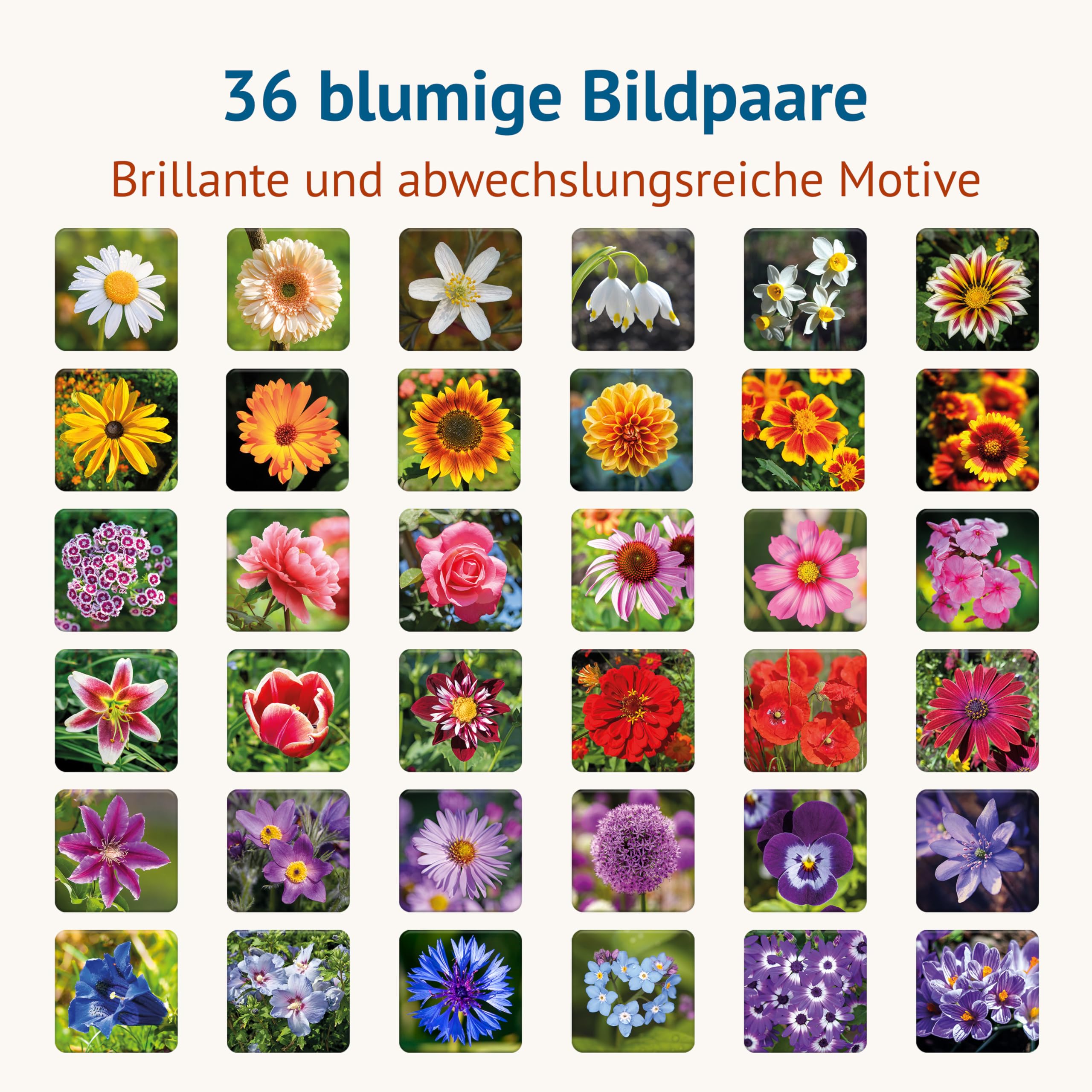 Starnberger Spiele Blumig - Memospiel - Kartenspiel für Erwachsene und Kinder ab 6 Jahren - Geschenk für Natur- und Blumenliebhaber 2