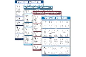 Palace Learning 4 Pack - Dumbbell Workouts + Bodyweight Exercises + Resistance Bands Workouts + Cable Machine - Set of 4 Char