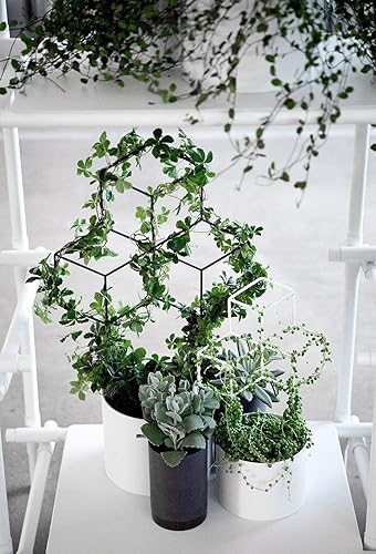 Seway Garden Metal Plant Trellis Indoor, Trellis for Potted Climbing Plants  Small Iron Plants Support House Plant Trellis for Climbing Plants Indoor  for Vine Stem Pea Flower Pothos Monstera in Kenya |