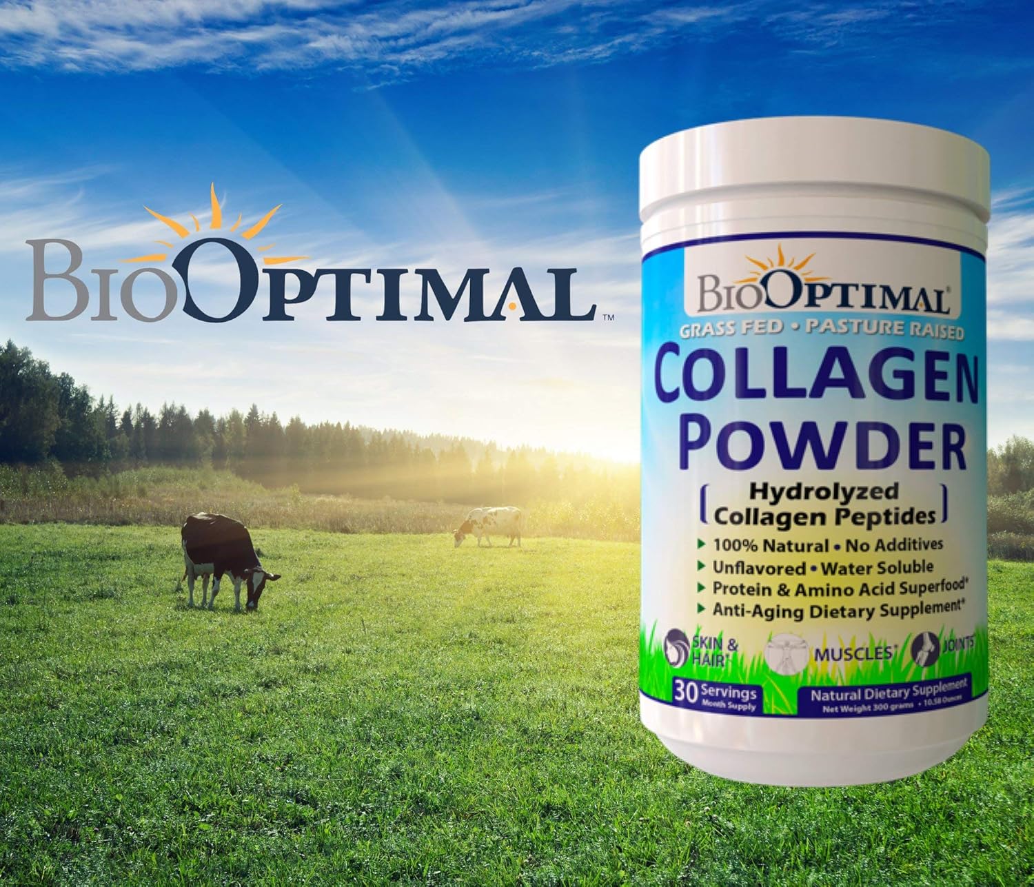 BioOptimal Collagen Powder - Collagen Peptides, Grass Fed, for Skin, Hair, Nails & Joints, Collagen Supplements for Women & Men, Pasture Raised, Dissolves Easily, 300 Grams: Health & Personal Care
