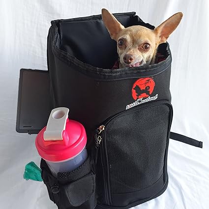 my little pet carrier