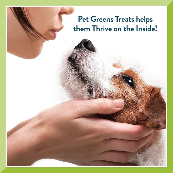 PET GREENS TREATS ROASTED CHICKEN SEMI-MOIST DOG TREAT ORANGE 6 OUNCE (PACK OF 1)