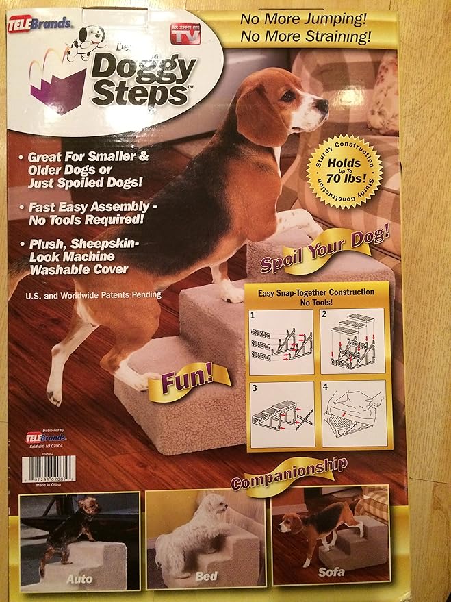 black poodle puppies for sale near me