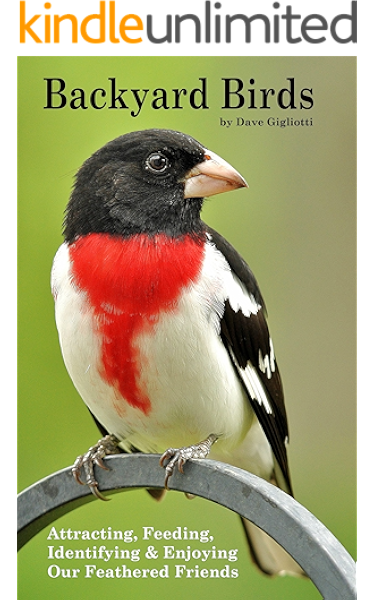 Amazon Com Backyard Birds Attracting Feeding Identifying And