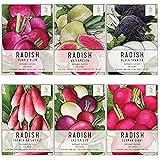 Seed Needs, Multicolor Radish Seed Packet