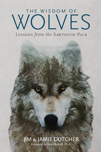 Download The Wisdom of Wolves: Lessons From the Sawtooth Pack (English Edition) PDF