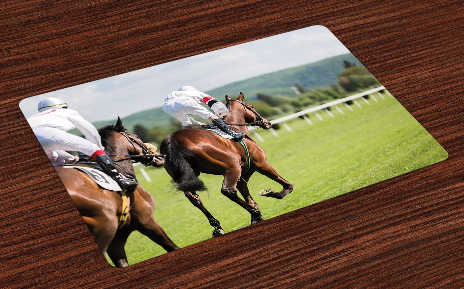 Lunarable Modern Place Mats Set of 4, Equestrian