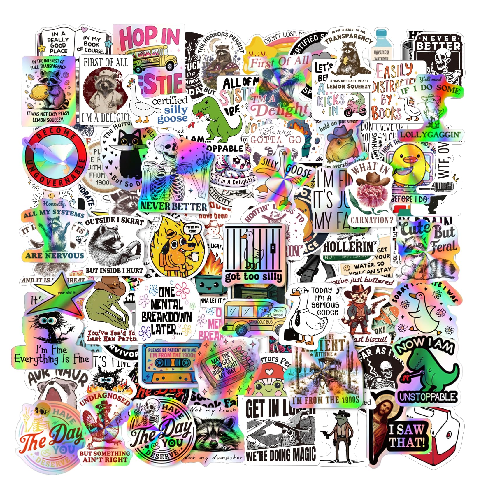 Photo 1 of 200 Pcs Funny Stickers for Adults, Holographic Cool Waterproof Vinyl Fun Quote Saying Stickers for Water Bottles, Laptop, Computer, Phone Case, Hat Helmet, Tumblers(200)
