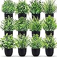 Der Rose Fake Plants 12 Pack Artificial Plants Small Faux Plants in Black Pot for Bathroom Home Office Table Decor Indoor