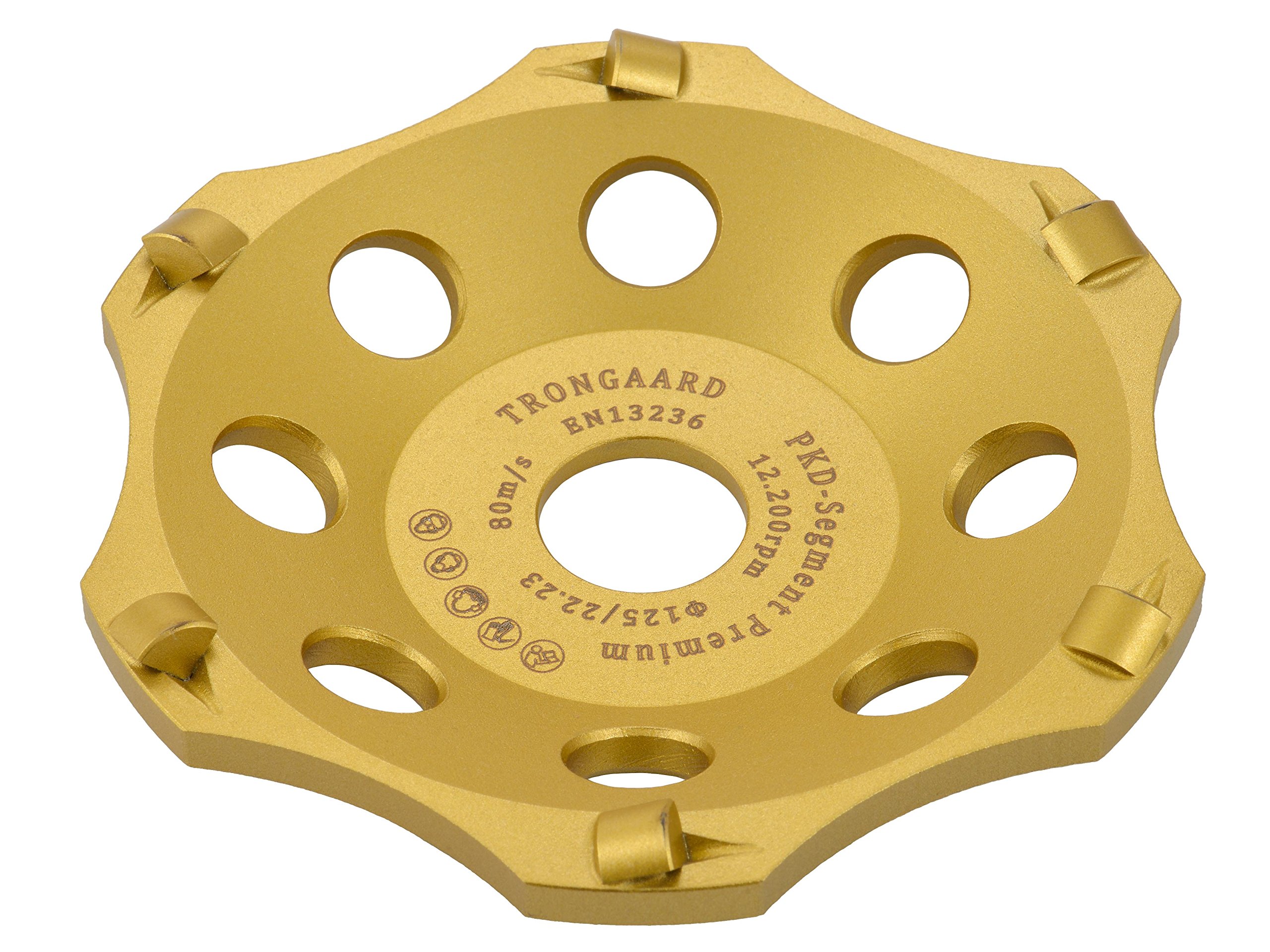 Trong Aard Premium PKD/Sanding Discs 125 mm/Cup Diameter 22.23 mm