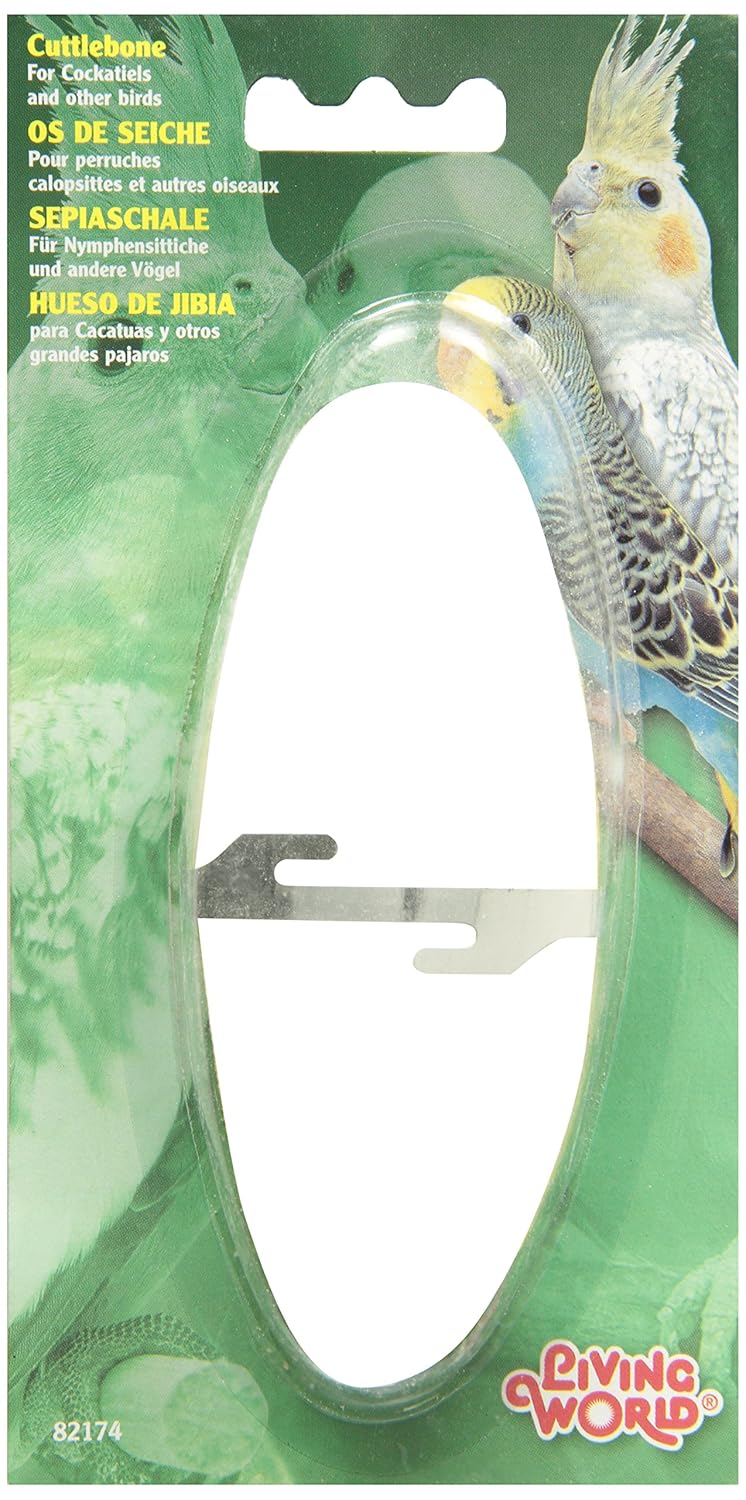 Living World Cuttlebone With Holder For Cage Bird 5 To 6 Inch Medium
