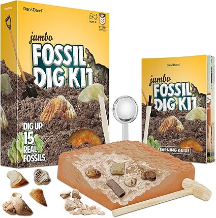 dig dinosaur bones toy