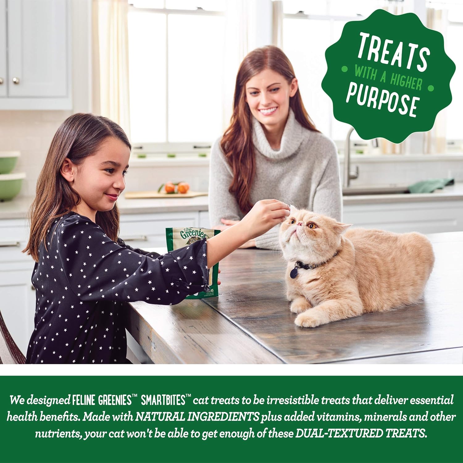 FELINE GREENIES SMARTBITES Skin & Fur Crunchy and Soft Natural Cat Treats, Salmon Flavor, 2.1 oz. Pack : Pet Snack Treats : Pet Supplies