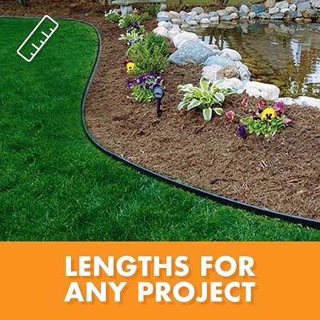 DIMEX Landshark Pound-in Paisaje Borde Kit de Proyecto: Amazon.es ...