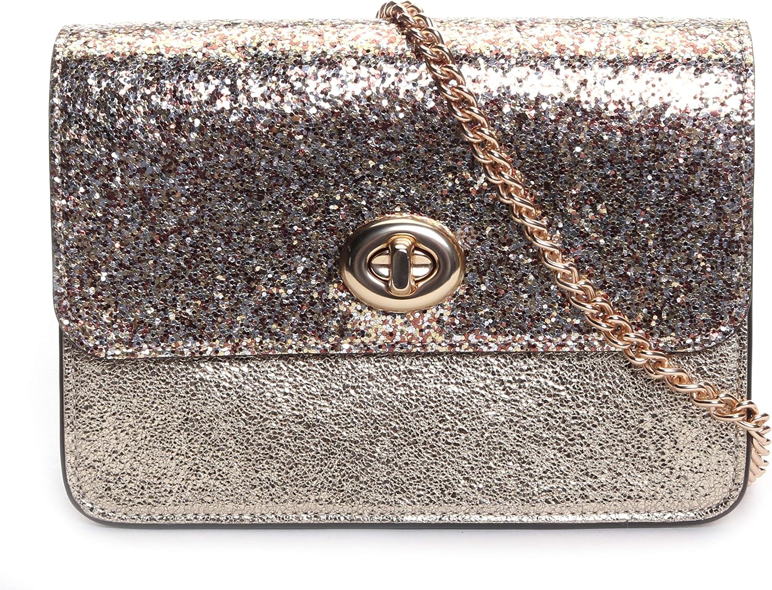 coach glitter purse
