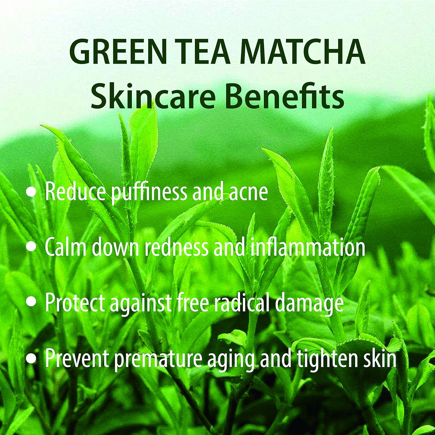 Hebepe Matcha Green Tea Lip Sleeping Mask Overnight with Applicator, Dry Lips Treatment with Coconut Oil, Vitamin E, Fig Extract, Orchid, and Shea Butter, Moisturizer for Dry, Chapped, Cracked Lips : Beauty