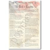 The U.S. Constitution - The Bill of Rights - US History Government Classroom School Poster