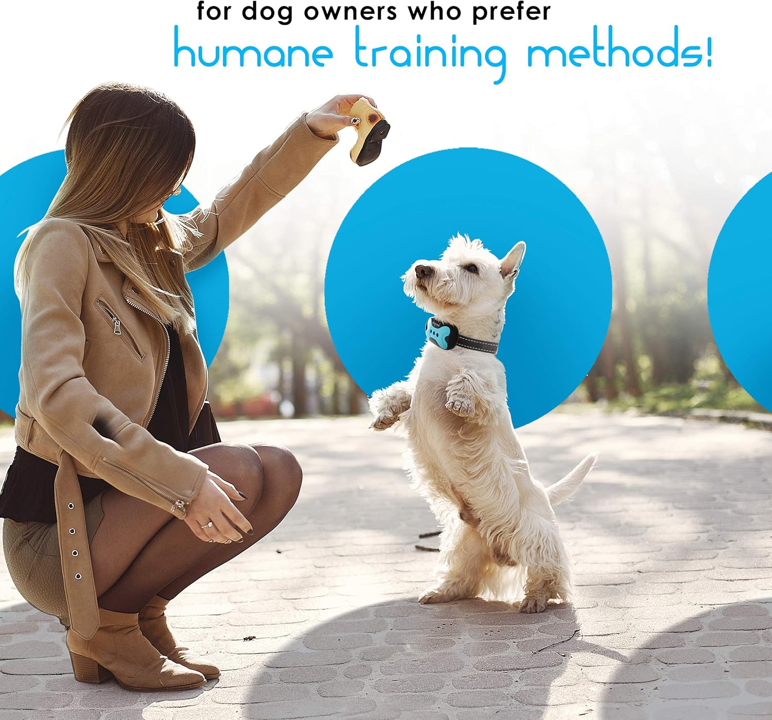 shockless bark collar